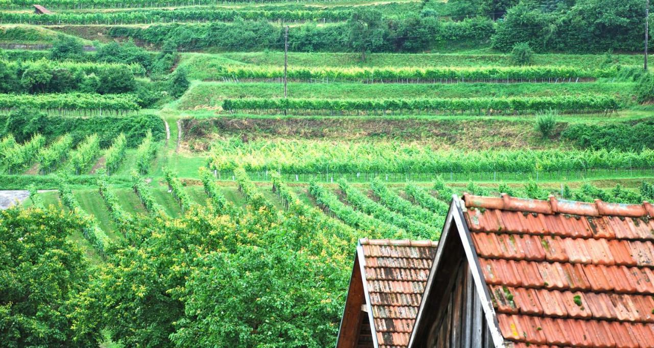 Weingut Jakob'S Ruhezeit Mautern Buitenkant foto